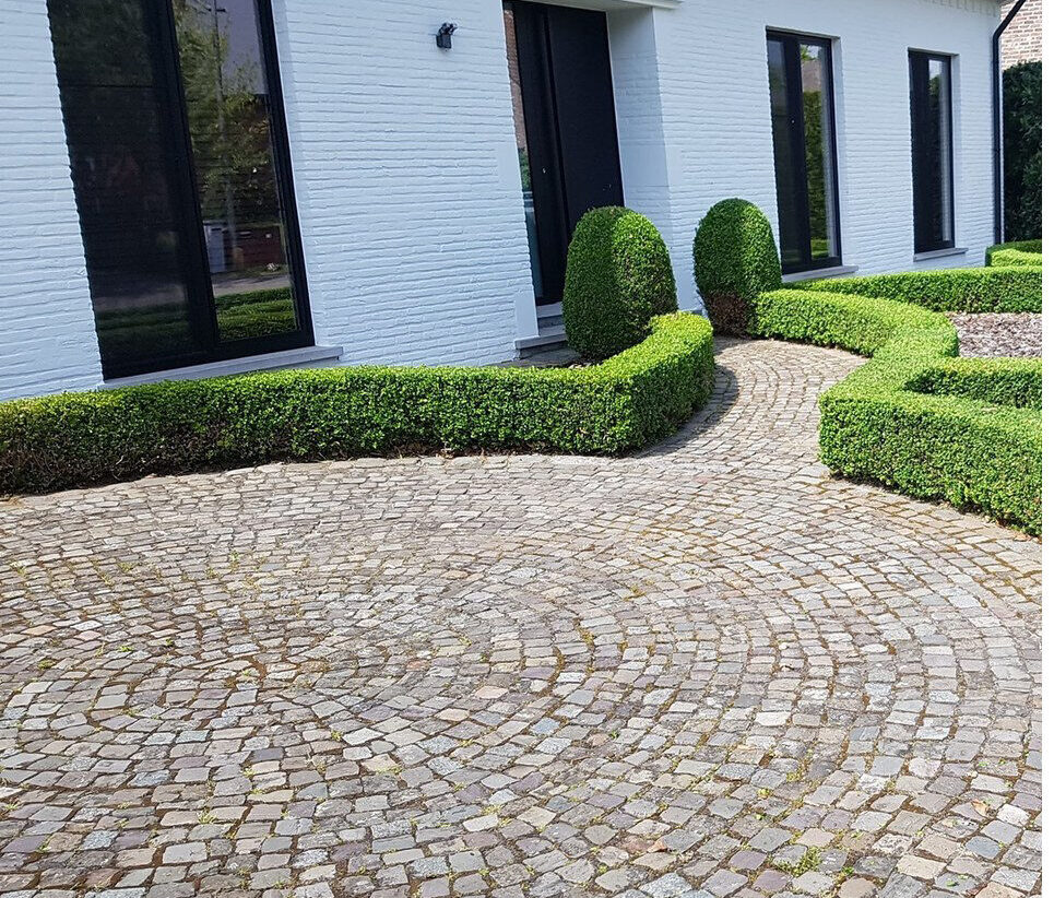 Oprit en voortuin