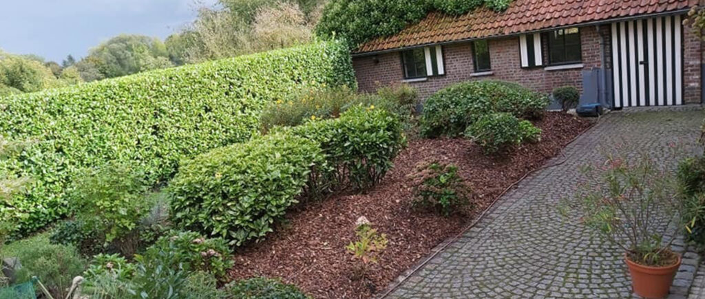 Weelderige tuin
