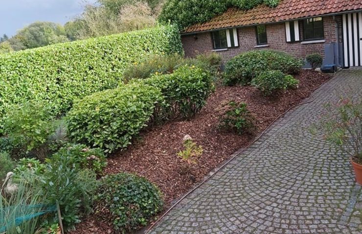 Weelderige tuin